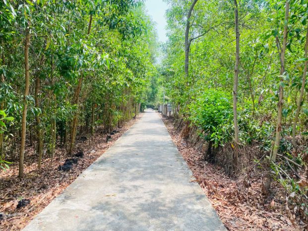 Bán 283m2 đất thổ cư hẻm quốc lộ 55, tân thiện, lagi giá rẻ 7421126