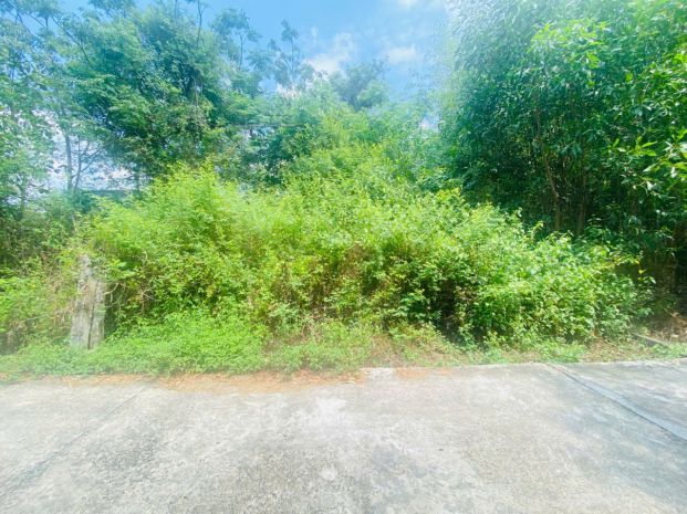 Bán 283m2 đất thổ cư hẻm quốc lộ 55, tân thiện, lagi giá rẻ 7421127