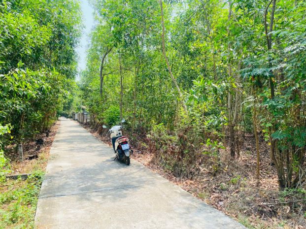 Bán 283m2 đất thổ cư hẻm quốc lộ 55, tân thiện, lagi giá rẻ 7421128