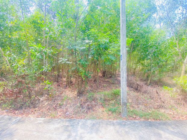 Bán 283m2 đất thổ cư hẻm quốc lộ 55, tân thiện, lagi giá rẻ 7421129