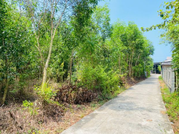 Bán 283m2 đất thổ cư hẻm quốc lộ 55, tân thiện, lagi giá rẻ 7421130