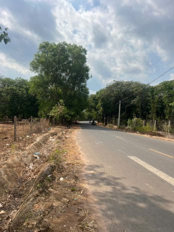 Bán đất mt nhựa xuân hiệp-tân tiến, xuân lộc. đồng nai. giá 7421183