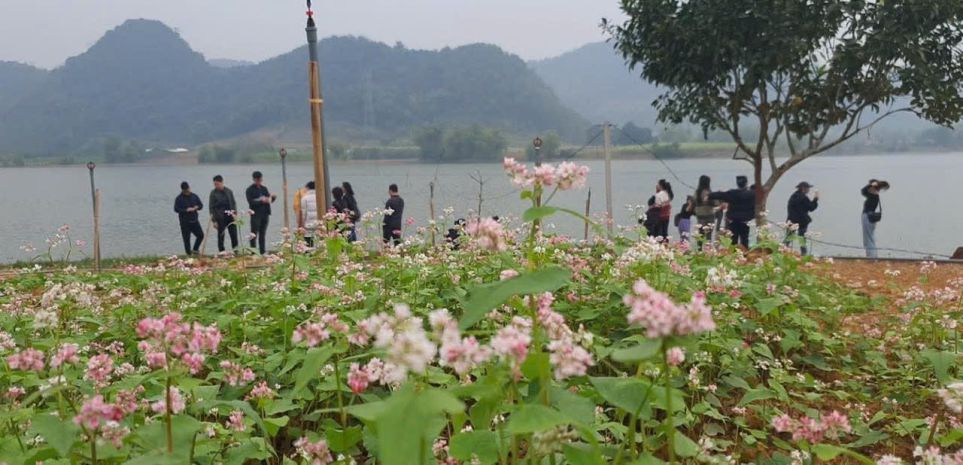 Siêu phẩm nghỉ dưỡng bám hồ  yên thuỷ, hoà bình   vị 7421232