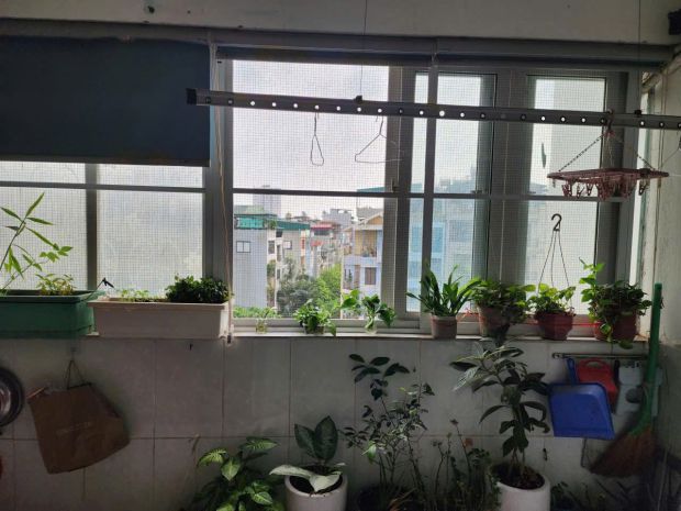 Căn hộ đẹp - hiếm có khó tìm - 2 ngủ - đủ công năng - về ở n 7421471