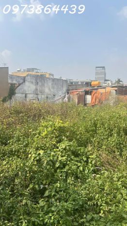 Siêu phẩm đất nền 354m²  ngang 17m hiếm có  nguyễn ảnh 7422620