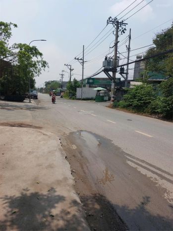 Đất chính chủ - mặt tiền đường trường lưu, phường long 7423213