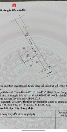 Chị gái định cư sang australia cần thanh khoản gấp lô đất tạ 7423840