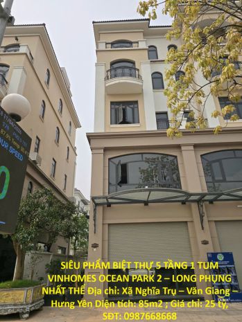 Siêu phẩm biệt thự 5 tầng 1 tum vinhomes ocean park 2 7424319
