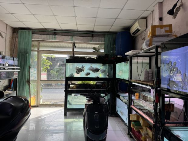 Bán nhà đường số 9, phường linh xuân, thủ đức, tp hcm. dt 7424622