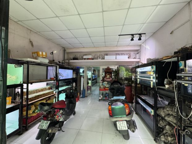 Bán nhà đường số 9, phường linh xuân, thủ đức, tp hcm. dt 7424623