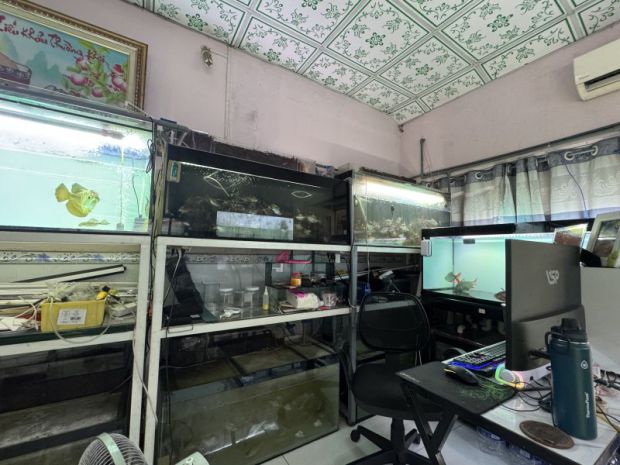 Bán nhà đường số 9, phường linh xuân, thủ đức, tp hcm. dt 7424624