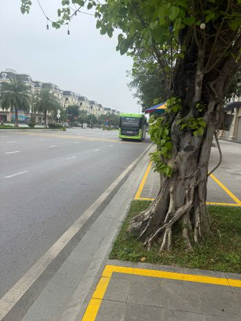 Nhỉnh 20 tỷ hàng gốc chủ đầu tư căn biệt thự song lập kinh 7426840