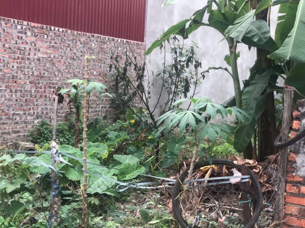 Siêu phẩm đất mê linh  vị trí vàng, giá còn thương lượng 7427257