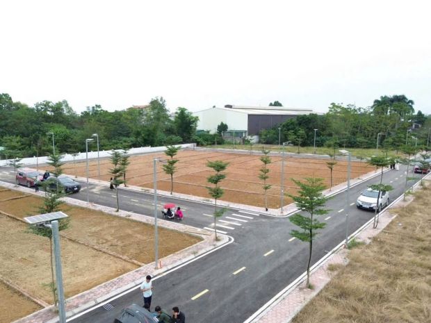 Chỉ dành cho nhà đầu tư thông minh 7427501