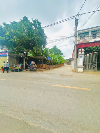 Chục chính kinh doanh tại xuân đồng tân mimh -xã sóc sơn 7427761