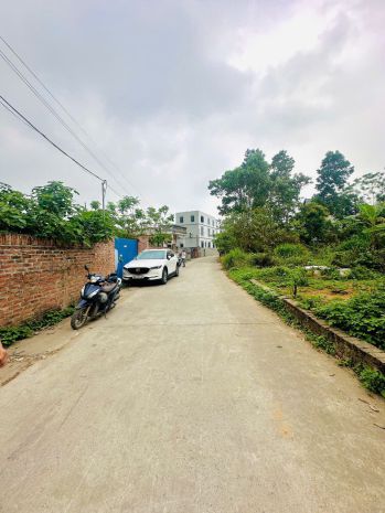 Chục chính kinh doanh tại xuân đồng tân mimh -xã sóc sơn 7427762