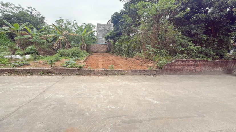 Chục chính kinh doanh tại xuân đồng tân mimh -xã sóc sơn 7427763