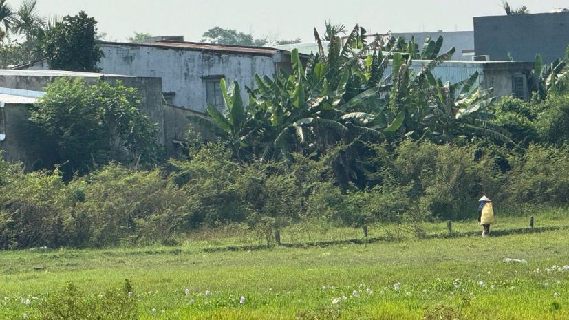 Bán đất đẹp  view cánh đồng quan châu, hòa xuân  đà nẵng 7431753
