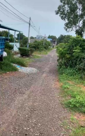 Dự án - thông tin chi tiết bán đất  nguyễn thông, phan 7432597