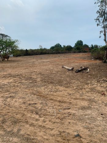 Dự án - thông tin chi tiết bán đất  nguyễn thông, phan 7432599