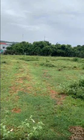 Dự án - thông tin chi tiết bán đất  nguyễn thông, phan 7432600