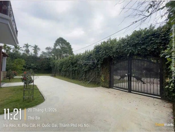 Cho thuê nhà số 15b đường nông lâm, vai réo, phú cát, hoà 7433121