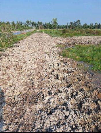 Chính chủ  cần bán miếng đất vườn 1600m2 - giá : 700tr có 7434654