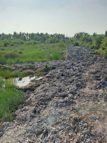 Chính chủ  cần bán miếng đất vườn 1600m2 - giá : 700tr có 7434655