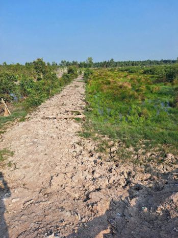 Chính chủ  cần bán miếng đất vườn 1600m2 - giá : 700tr có 7434656