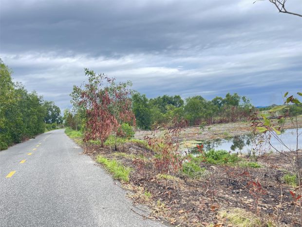 Bán 61.5m đất odt mặt tiền lê quang định - lagi gần biển 7436364