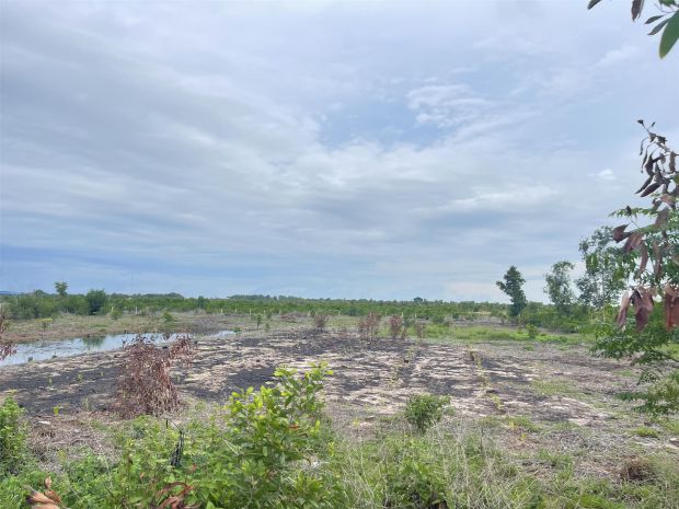 Bán 61.5m đất odt mặt tiền lê quang định - lagi gần biển 7436365