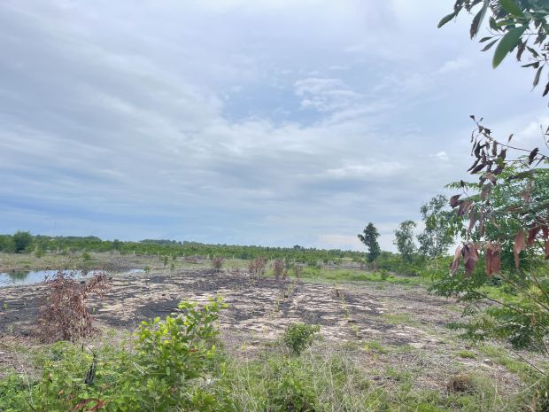 Bán 61.5m đất odt mặt tiền lê quang định - lagi gần biển 7436367