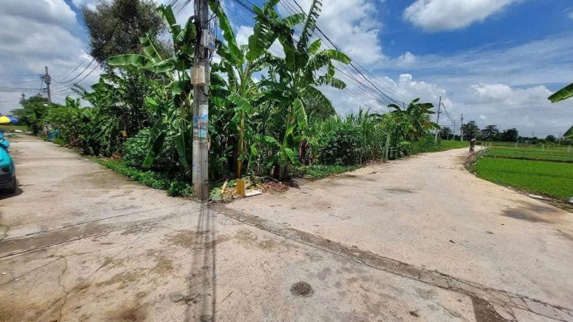 Hàng thơm củ chi  full thổ cư 1000m²  gần vành đai 3 7436520