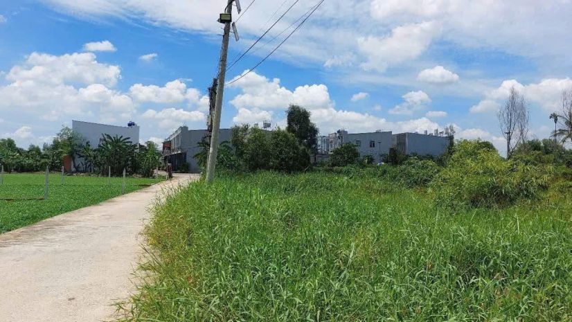 Hàng thơm củ chi  full thổ cư 1000m²  gần vành đai 3 7436521