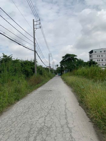 Siêu phẩm đất lớn 59x50 ven sông sài gòn  an phú đông, 7436540