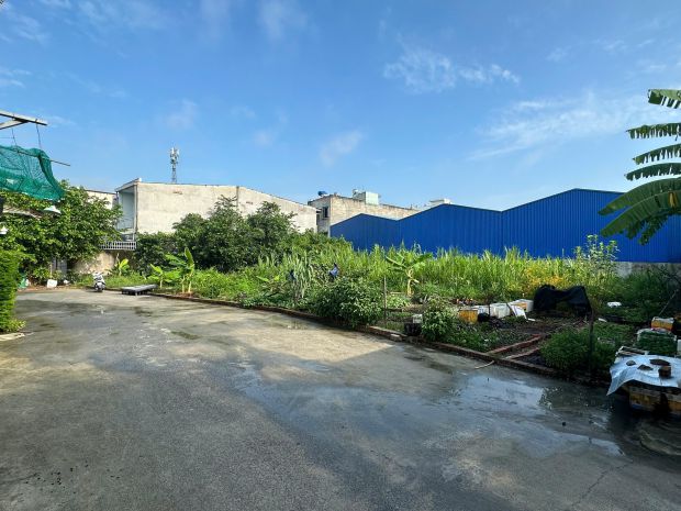 Hàng đầu tư giá sỉ  7 lô đất chỉ 21 tỷ  thạnh xuân 48, 7436679