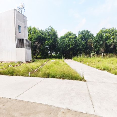 Lô góc 2 mặt tiền đường  tt p. bảo vinh, đn  chỉ 218trm 7436870