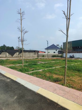 Giật mình vì giá: đất hòa lạc đẹp như mơ  giá chỉ bằng 7438263