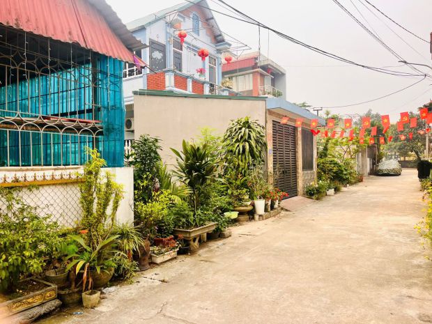 Chủ ngộp ngân hàng: xả lô đất hòa lạc giá rẻ chưa từng 7438469