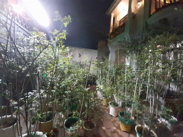 Bán biệt thự mặt phố 240m2, 3 tầng, hiệp bình chánh, thủ 7438879