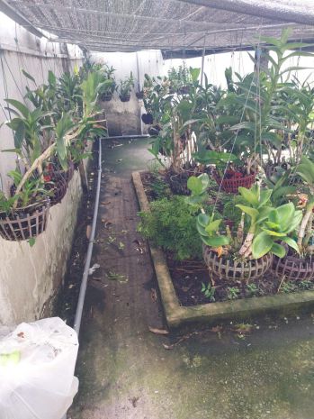 Chính chủ bán nhà gần cao tốc mộc bài, phùng thị liếu, củ 7440318