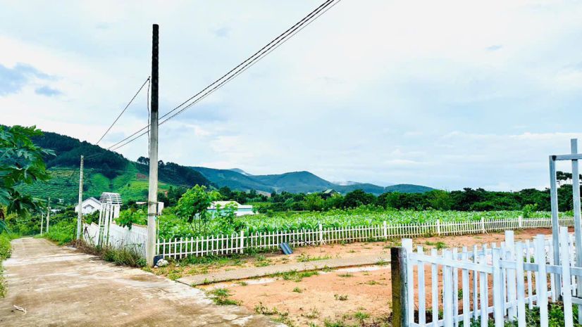 Chủ cắt lỗ bán gấp lô đất đông thanh lâm hà lâm đồng 7441452