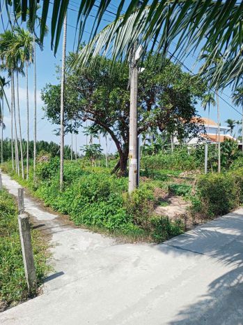 Chủ kẹt tiền cần bán lô đất tại mt đường dx 017 có 1000 m² 7441500