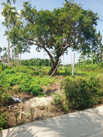 Chủ kẹt tiền cần bán lô đất tại mt đường dx 017 có 1000 m² 7441502