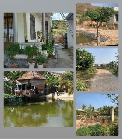 Bán gấp nhà vườn tân văn lâm hà lâm đồng hai mặt tiền đường 7441550