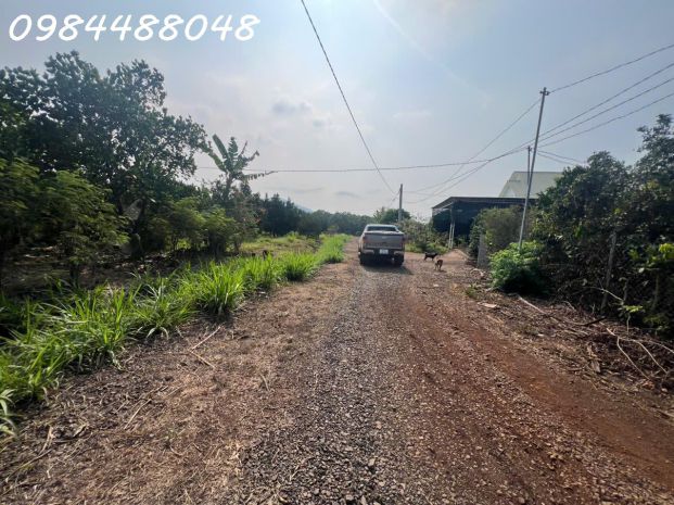 Bán vườn 3216m2, xuân phú, xuân lộc. đồng nai. giá 1,8 ty. 7443460