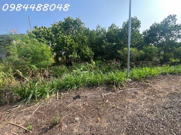 Bán vườn 3216m2, xuân phú, xuân lộc. đồng nai. giá 1,8 ty. 7443462