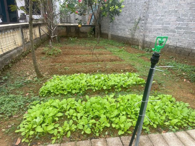 Chính chủ bán gấp  nhà vườn hơn 800m²  giá nhỉnh 7 tỷ 7444618