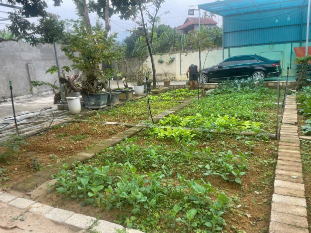 Chính chủ bán gấp  nhà vườn hơn 800m²  giá nhỉnh 7 tỷ 7444619
