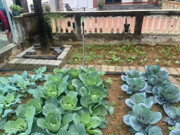 Chính chủ bán gấp  nhà vườn hơn 800m²  giá nhỉnh 7 tỷ 7444620